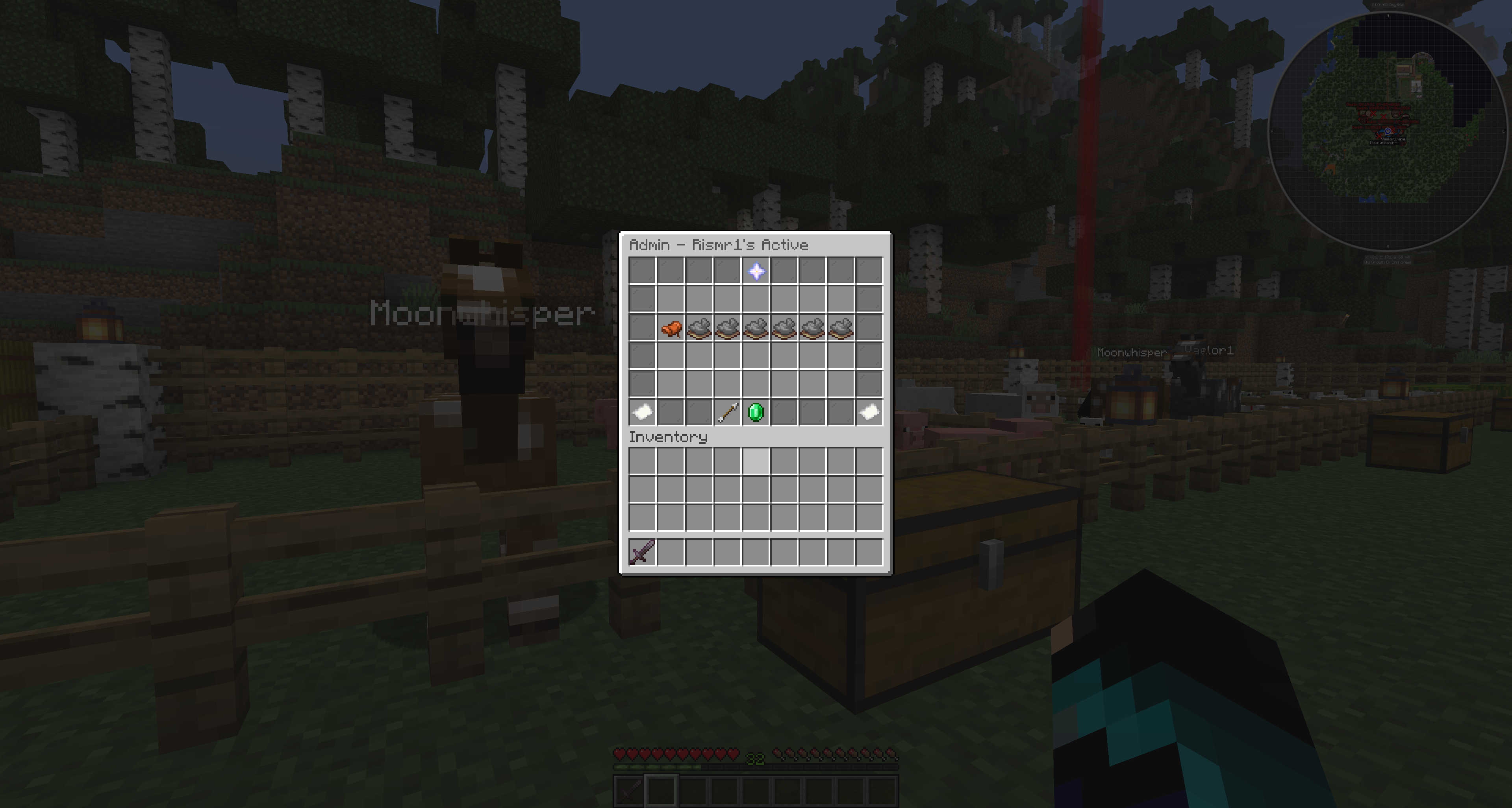 Admin horse tools screenshot