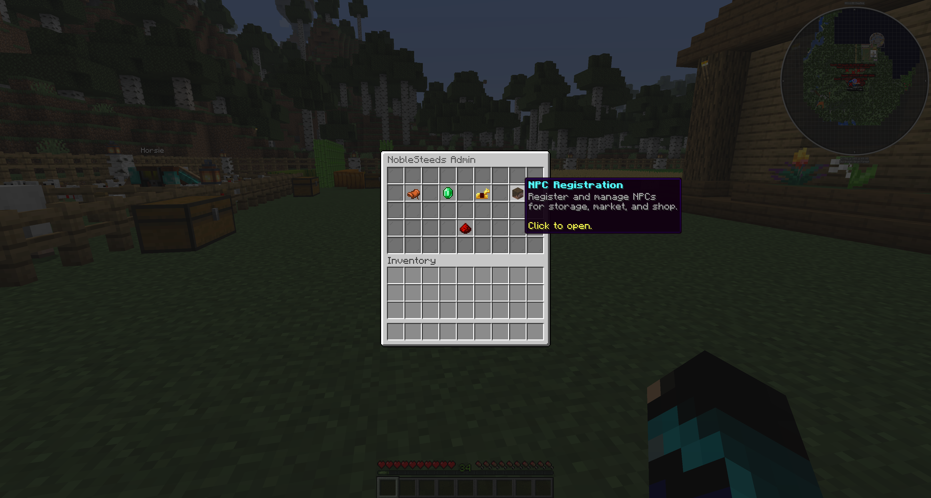 Citizens NPC admin option screenshot
